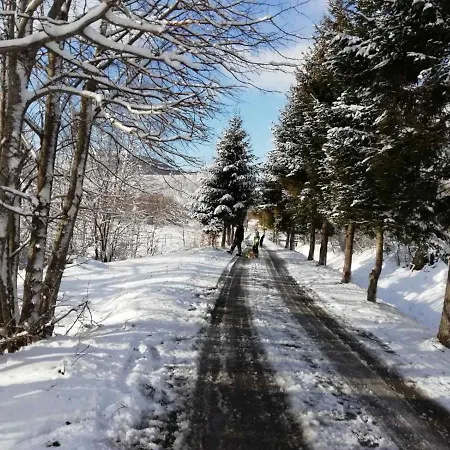 Sanmari_forest * Ledenice